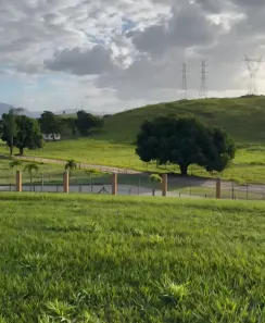 Lote/Terreno à venda, 677m² no Jacuhy, Serra