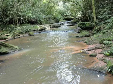 Fazenda/Sítio com 4 Quartos à venda, 350m² no Vera Cruz, Gravataí