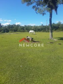 Fazenda/Sítio com 3 Quartos à venda, 80000m² no Criúva, Caxias do Sul