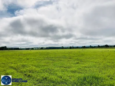 Fazenda/Sítio com 4 Quartos à venda, 26m² no Setor Central, Serranópolis
