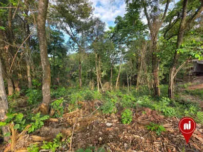 Lote/Terreno à venda, 12936m² no Mirante da Mata, Nova Lima