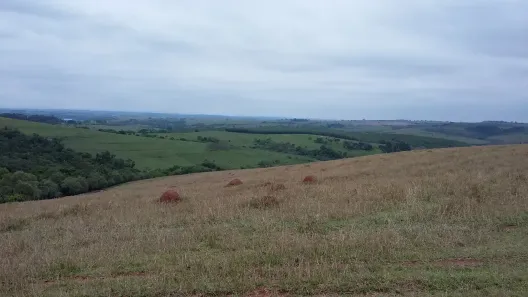 Fazenda/Sítio à venda, 145200m² no Pirambóia, Anhembi