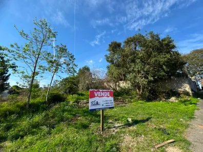 Lote/Terreno à venda, 440m² no Santa Luzia, Quatro Barras