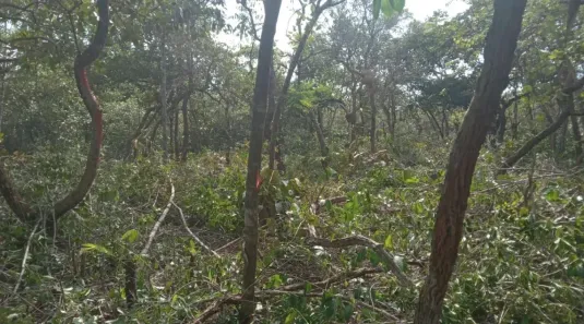 Lote/Terreno à venda, 1100m² no Cláudio, Cláudio