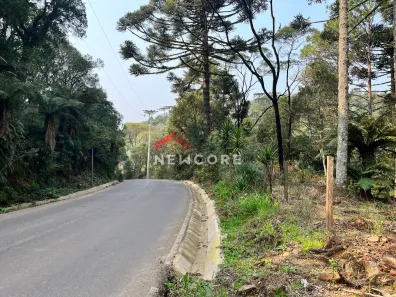 Fazenda/Sítio com 1 Quarto à venda, 2500m² no Centro, São Francisco de Paula