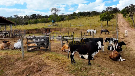 Fazenda/Sítio com 3 Quartos à venda, 670000m² no Centro, Alexânia