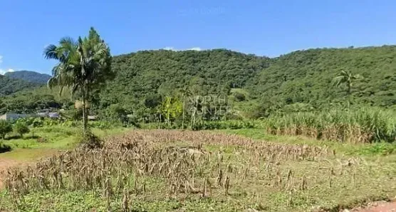 Fazenda/Sítio com 1 Quarto à venda, 10m² no Schroeder I, Schroeder