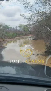 Fazenda/Sítio com 3 Quartos à venda, 26000m² no ELIZEU MARTINS, Eliseu Martins