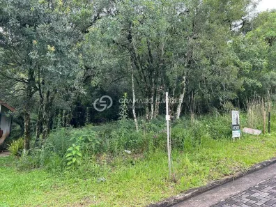 Lote/Terreno à venda, 360m² no Carniel, Gramado
