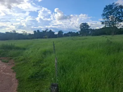 Fazenda/Sítio à venda, 242000m² no , Jaraguá