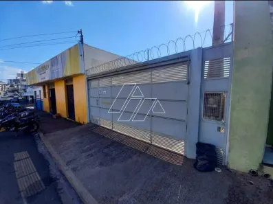 Imóvel Comercial com 3 Quartos para alugar, 200m² no Alto Cafezal, Marília