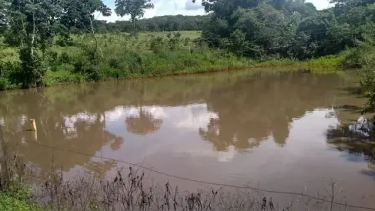 Fazenda/Sítio com 4 Quartos à venda, 100m² no Jardim Rosa do Sul, Aparecida de Goiânia