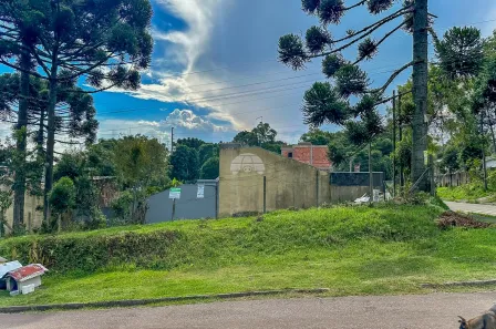 Lote/Terreno à venda, 592m² no Vila Rosa, Piraquara