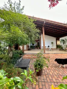 Casa com 4 Quartos à venda, 834m² no Ilha do Frade, Vitória