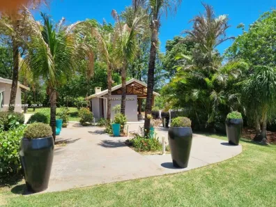 Fazenda/Sítio com 3 Quartos à venda, 450m² no Brasília, Londrina