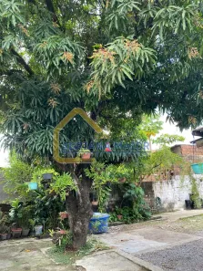 Casa com 4 Quartos à venda, 290m² no Várzea, Recife
