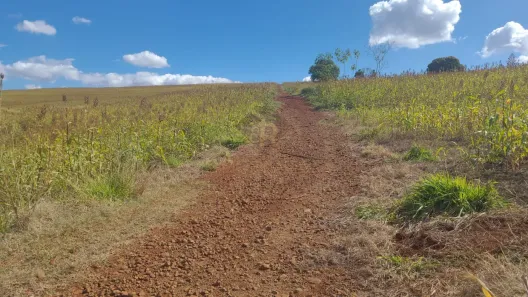 Fazenda/Sítio com 1 Quarto à venda, 188518m² no Centro, São Simão