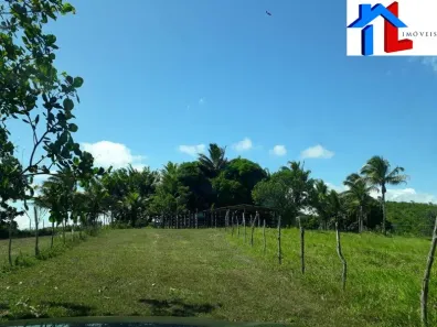 Fazenda/Sítio com 2 Quartos à venda, 261360m² no Vila São José do avena, Itanagra