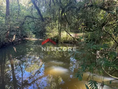 Fazenda/Sítio com 3 Quartos à venda, 100m² no Santa Cruz da Concórdia, Taquara