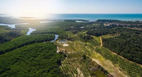 Casa com 1 Quarto à venda, 500m² no Campinho, Santa Cruz Cabrália