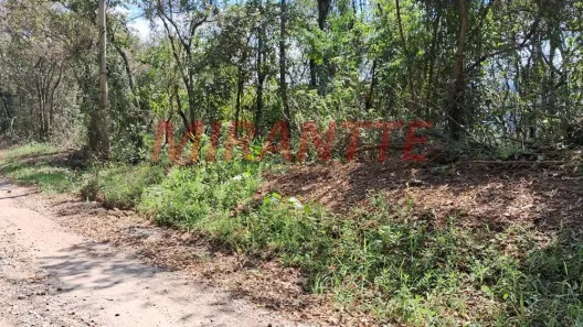 Lote/Terreno à venda, 1200m² no Roseira, Mairiporã