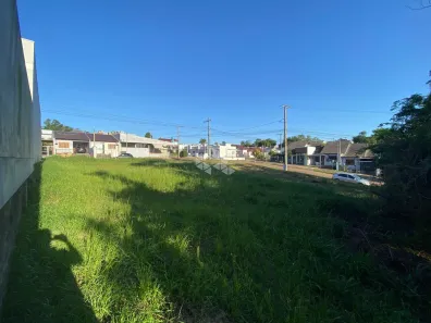 Lote/Terreno à venda, 356m² no João Alves, Santa Cruz do Sul