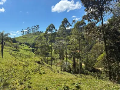 Lote/Terreno à venda, 85225m² no , Angelina