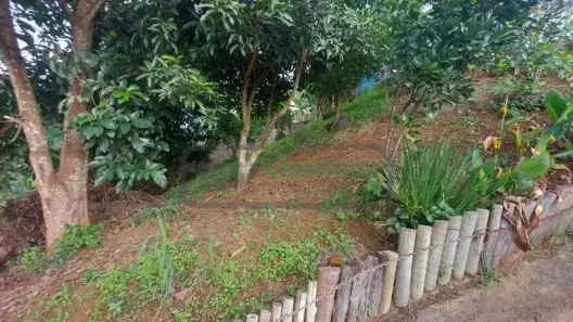 Fazenda/Sítio com 3 Quartos à venda, 100m² no Pirapitinga, Juiz de Fora