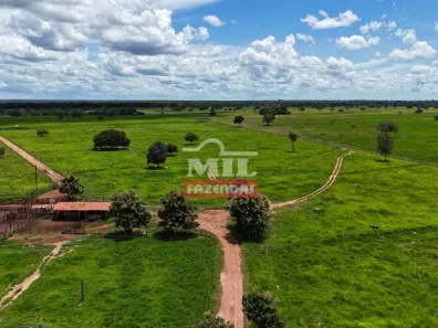 Fazenda/Sítio à venda, 1m² no , São Miguel do Araguaia