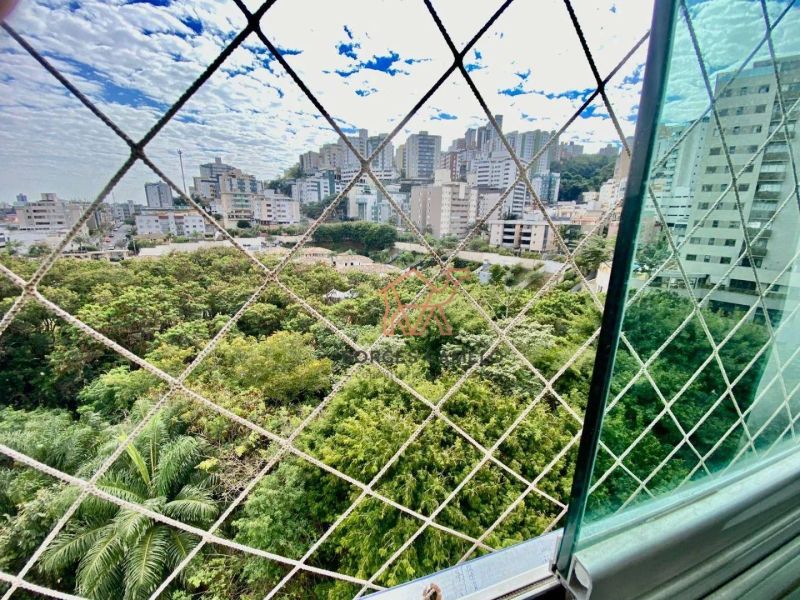 Foto 53