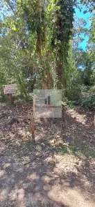 Lote/Terreno à venda, 250m² no Jardim das Palmeiras (Zona Sul), São Paulo