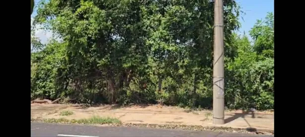 Lote/Terreno à venda, 10m² no Recanto José Tedeschi, Mirassol