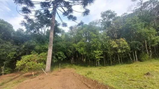Fazenda/Sítio com 1 Quarto à venda, 21574m² no Área Rural, Bocaiúva do Sul