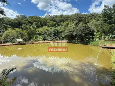 Fazenda/Sítio à venda, 500m² no , São Miguel do Passa Quatro