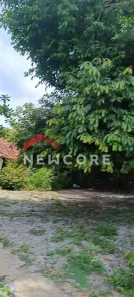 Fazenda/Sítio com 3 Quartos à venda, 250m² no Barra do Jacuípe, Camaçari