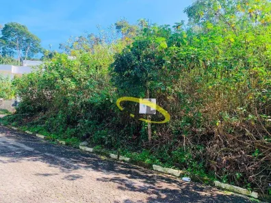 Lote/Terreno à venda, 1003m² no Jardim Nomura, Cotia