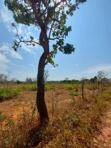 Lote/Terreno à venda, 23000m² no , Brasília