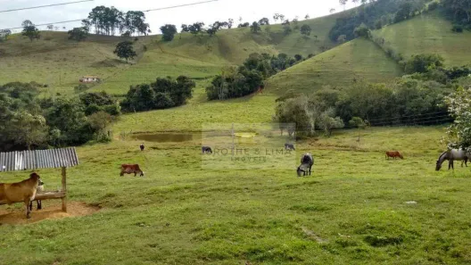 Fazenda/Sítio à venda, 300m² no Sertãozinho, Borda da Mata