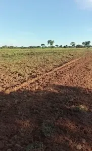 Fazenda/Sítio à venda no , Arinos