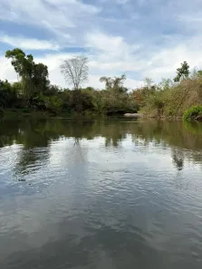 Fazenda/Sítio com 3 Quartos à venda, 9m² no , Cezarina