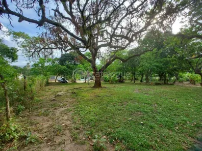 Fazenda/Sítio com 4 Quartos à venda, 200m² no Manoel Alves de Souza, São José de Mipibu