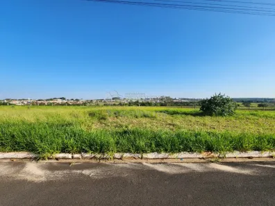 Lote/Terreno à venda, 220m² no Jardim Holambra, Cedral