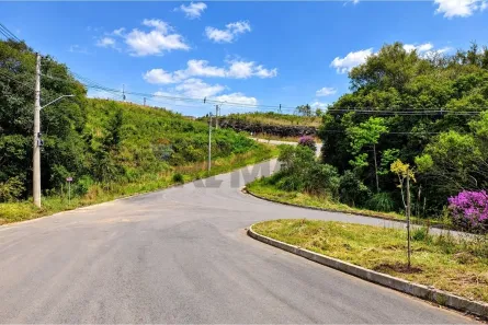 Lote/Terreno à venda, 323m² no Fenavinho, Bento Gonçalves