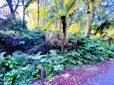 Lote/Terreno à venda, 7620m² no Maggi, Canela