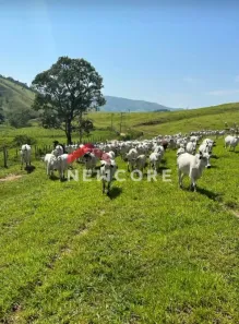 Fazenda/Sítio com 10 Quartos à venda, 3000m² no , Cachoeira Paulista