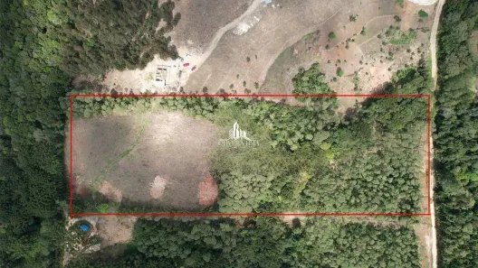 Fazenda/Sítio à venda, 24000m² no Centro, Campina Grande do Sul
