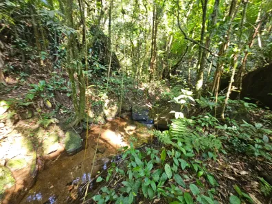 Lote/Terreno à venda, 23000m² no Centro, Juquitiba