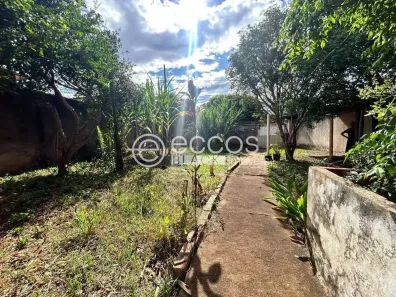 Lote/Terreno à venda, 360m² no Santa Mônica, Uberlândia