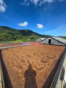 Fazenda/Sítio com 3 Quartos à venda, 10m² no , Coaraci
