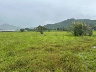 Lote/Terreno à venda, 1800m² no , Paulo Lopes